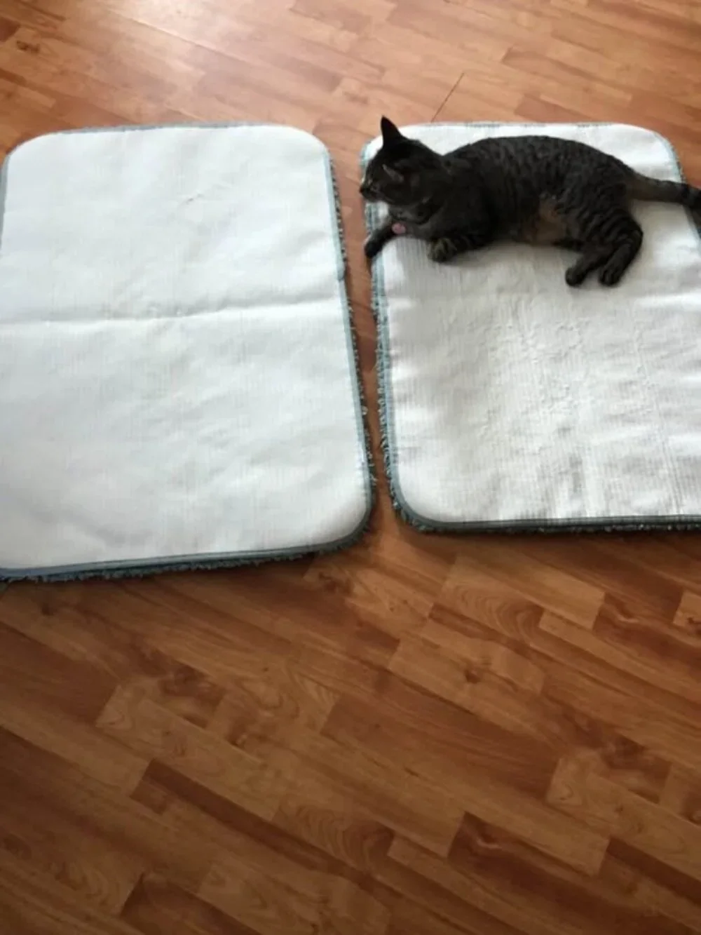 Bathroom or bedroom large thick bath mats rugs lot of 2 sage green